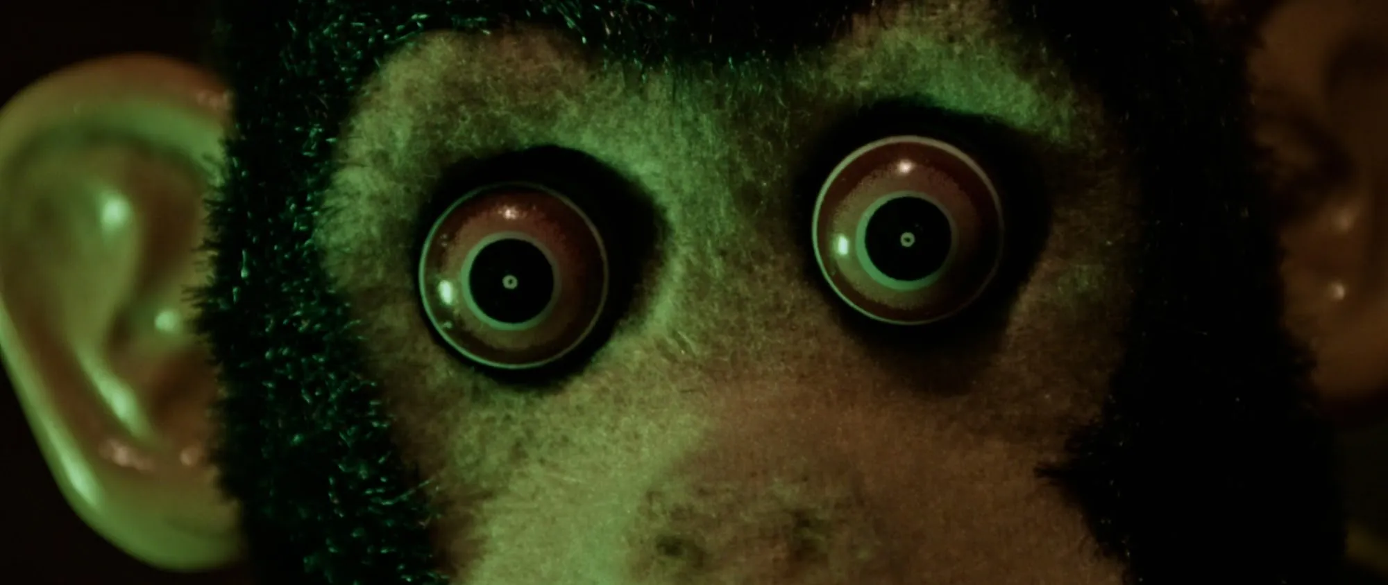 The Monkey — still 1